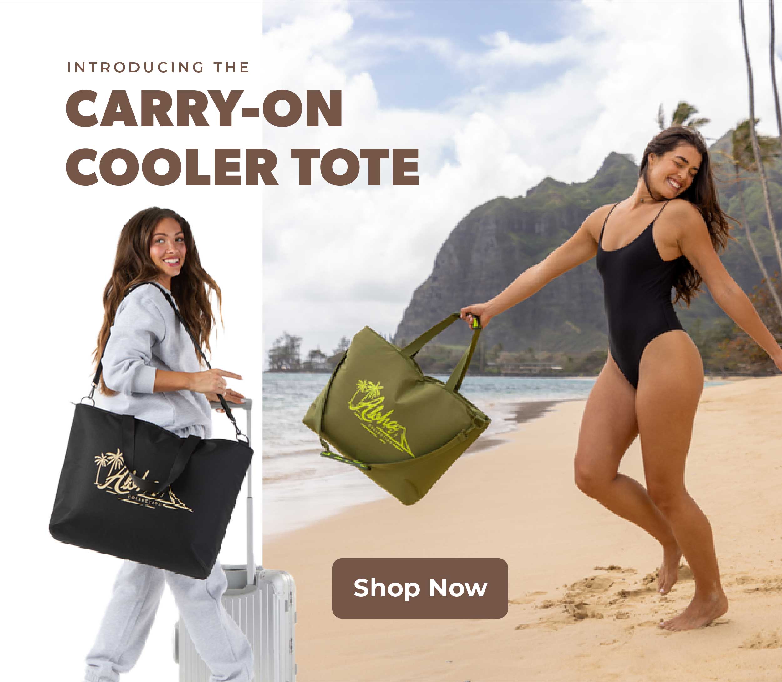 Introducing the Carry-On Cooler Tote, Shop Now