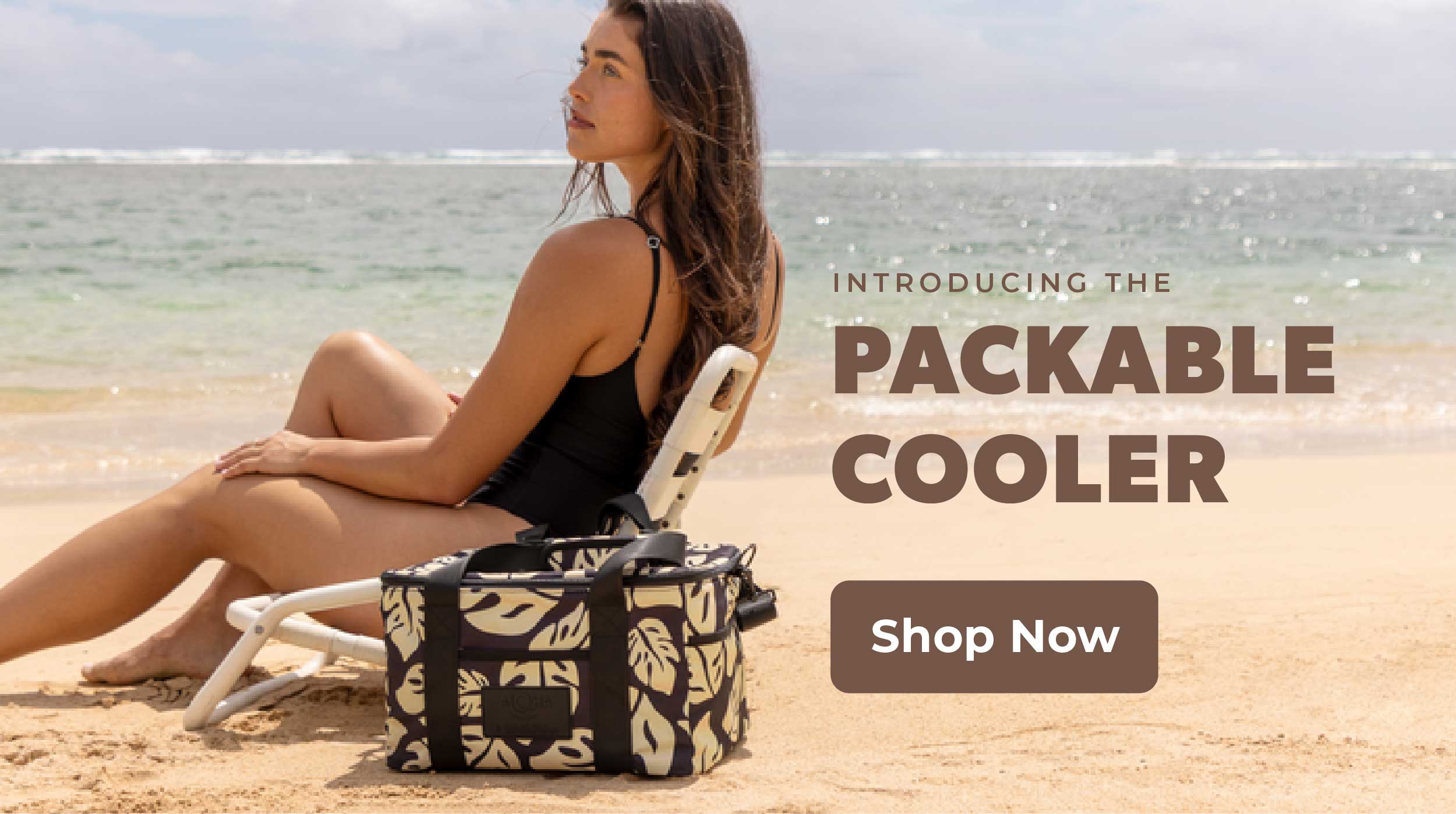 Introducing the Packable Cooler, Shop Now